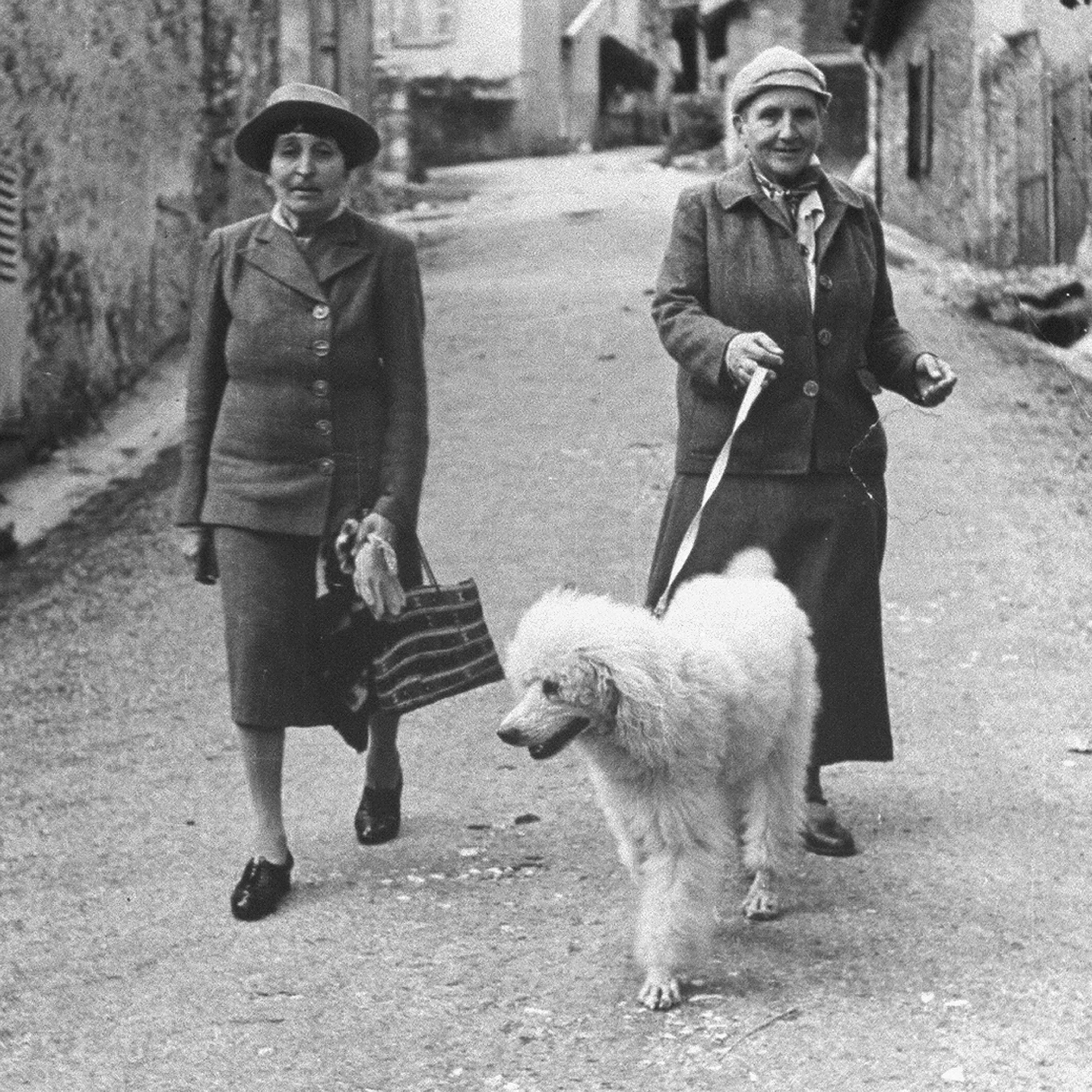 Gertrude Stein and Alice B. Toklas