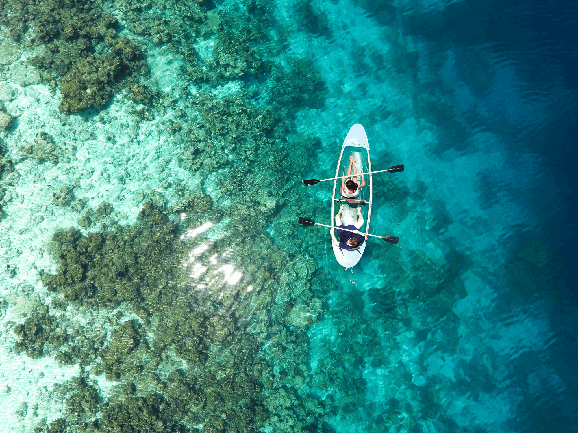 Maldives: The Best House Reefs