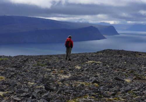 Northern Lights and Iceland Adventure