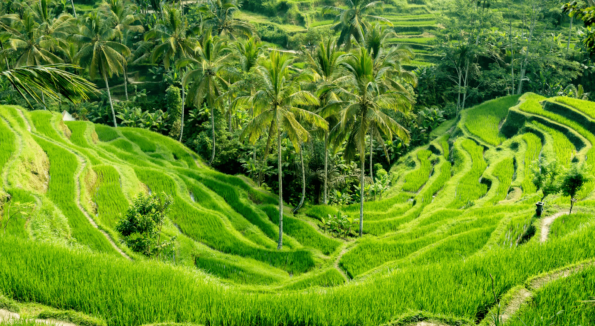 Indonesia