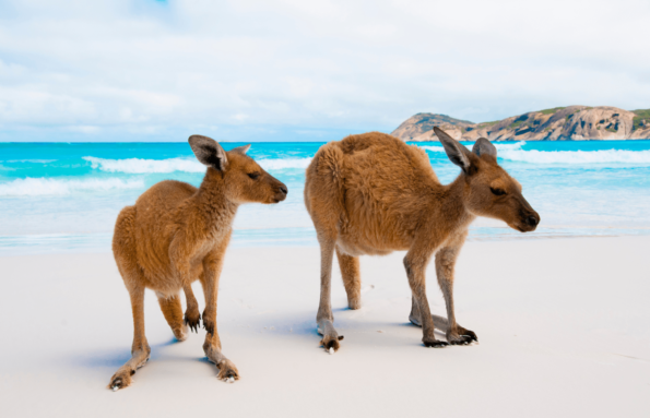 Australia