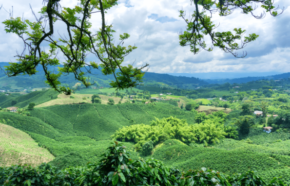 Hidden Gems of Colombia