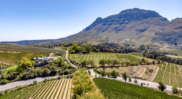 Days 5-6: Stellenbosch