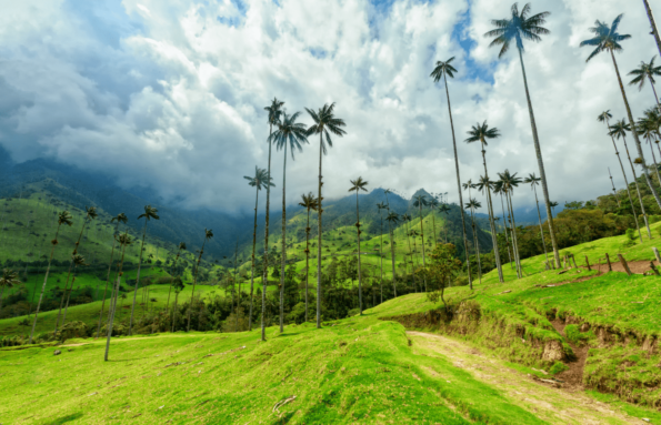Hidden Gems of Colombia