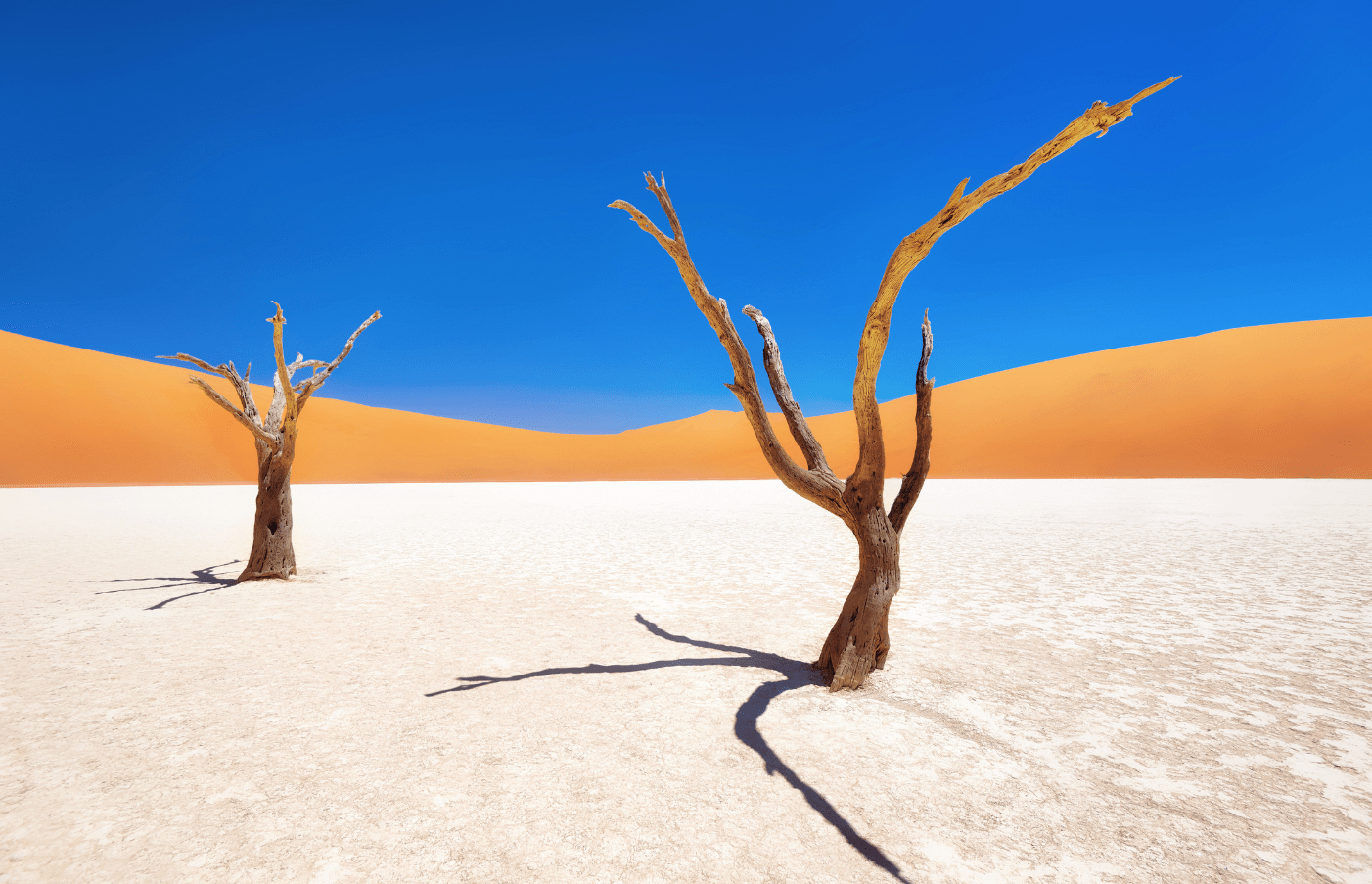 Deserts & Savannas Namibia Safari