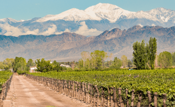 Wine And Dine In Chile & Argentina