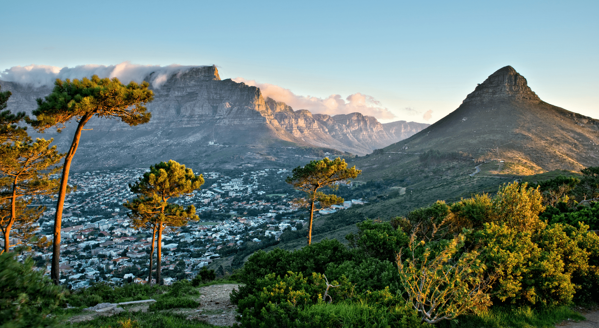Gay Group Trip: Luxury South Africa