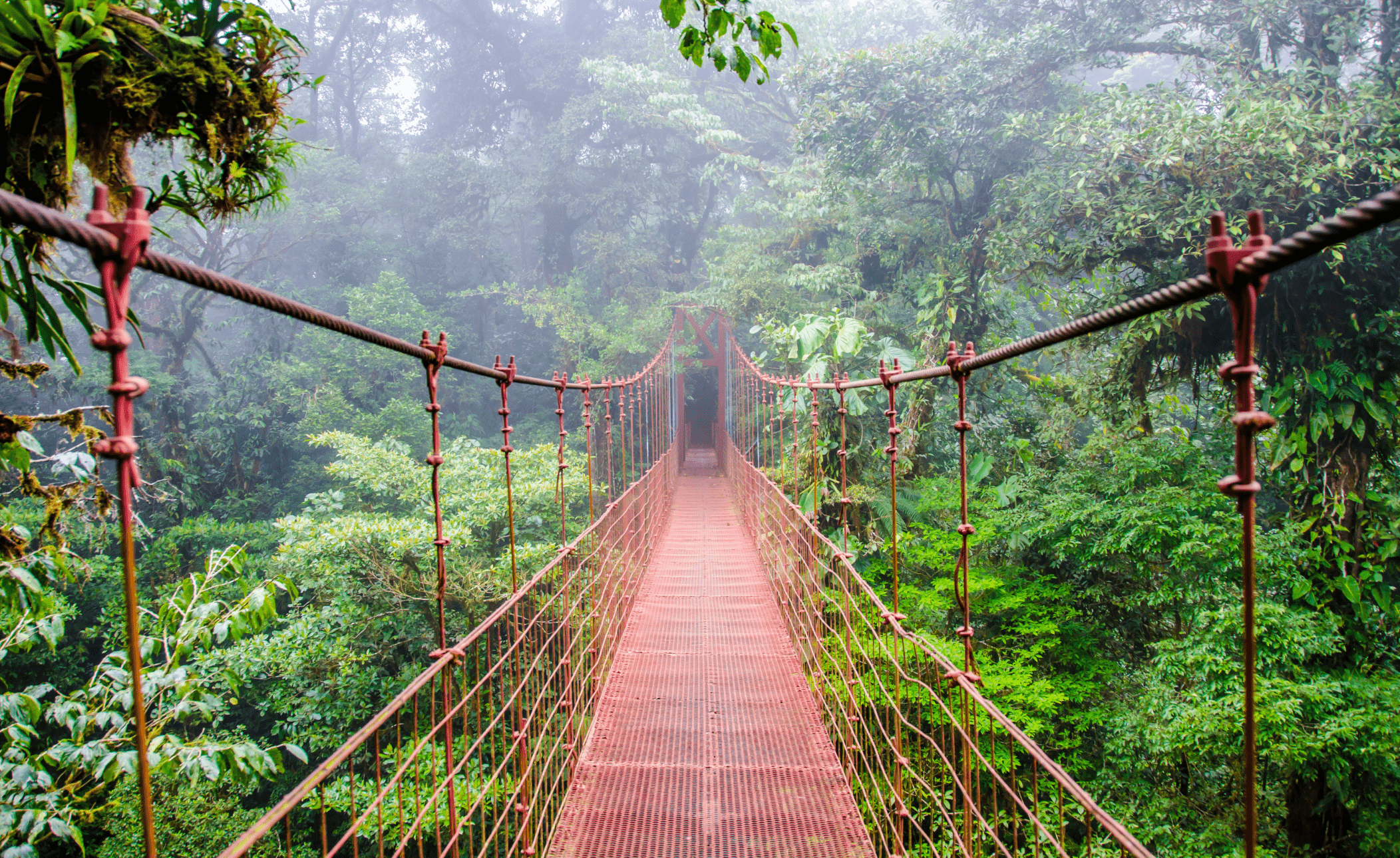 Gay Group Trip: Costa Rica Adventure