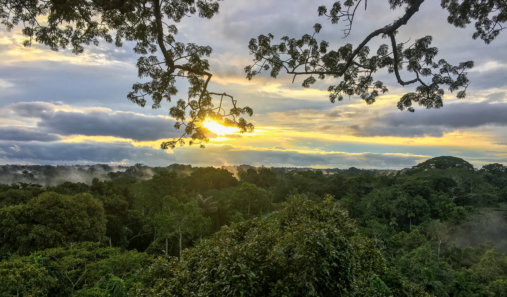 Amazon Jungle Lodge Adventure: Ecuador's Rainforest & Andes