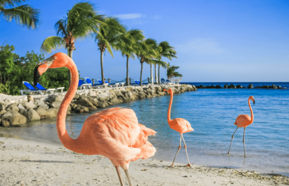 Aruba