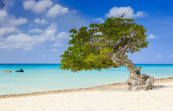 Classic Caribbean: Aruba and Curacao
