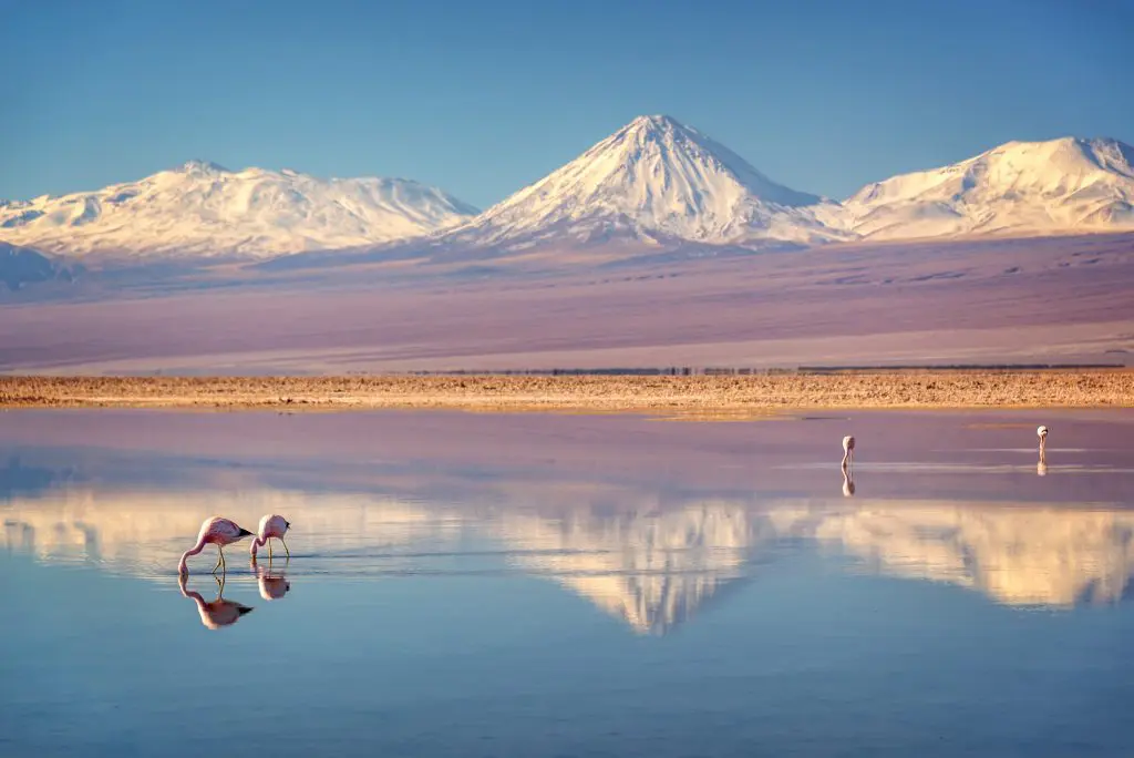Days 13-14: Atacama Desert