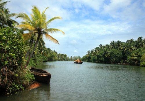 Backwater scenery from Kerala, India Backwater scenery from Kerala, India