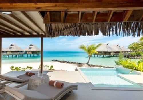 gay french Bora polynesia bora Fernanda amaral transsexual