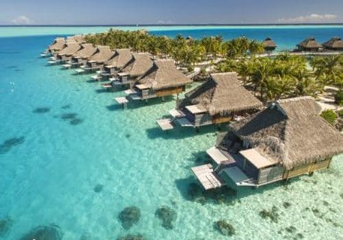 gay french Bora polynesia bora Sexy guys Gay sportsman uk
