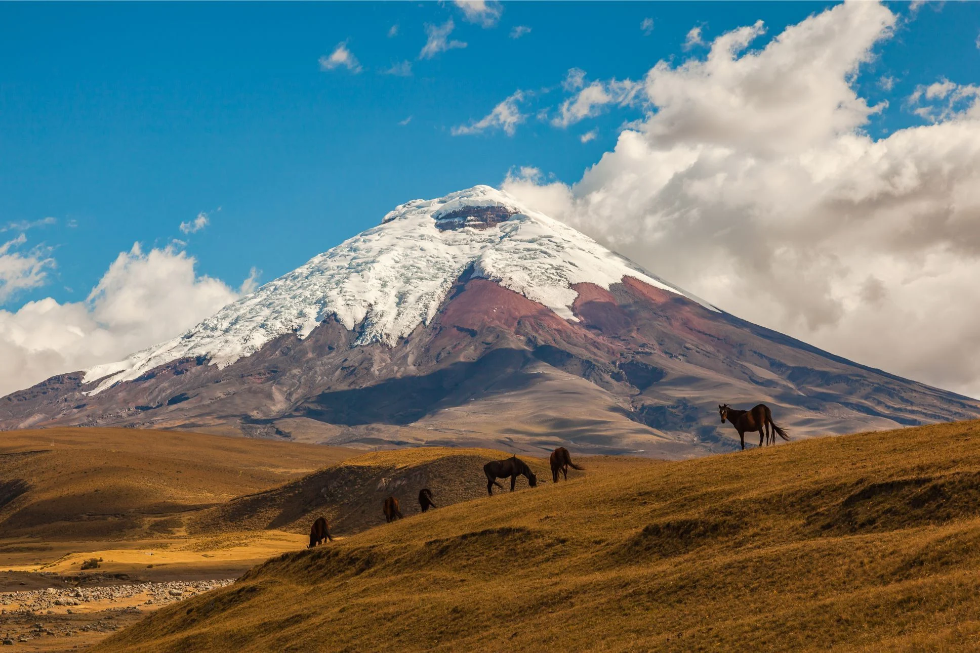 Day 3: Chimbacalle to Cotopaxi to Lasso
