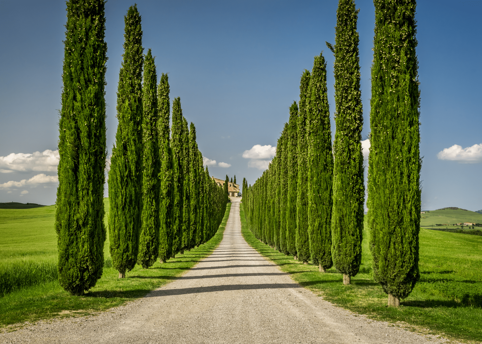 Gay Group Trip: Luxury Tuscan Summer