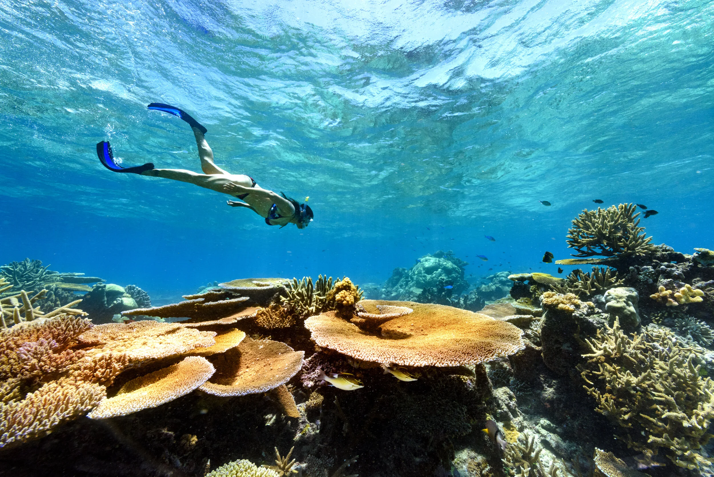 Days 4-5: Ocean Days