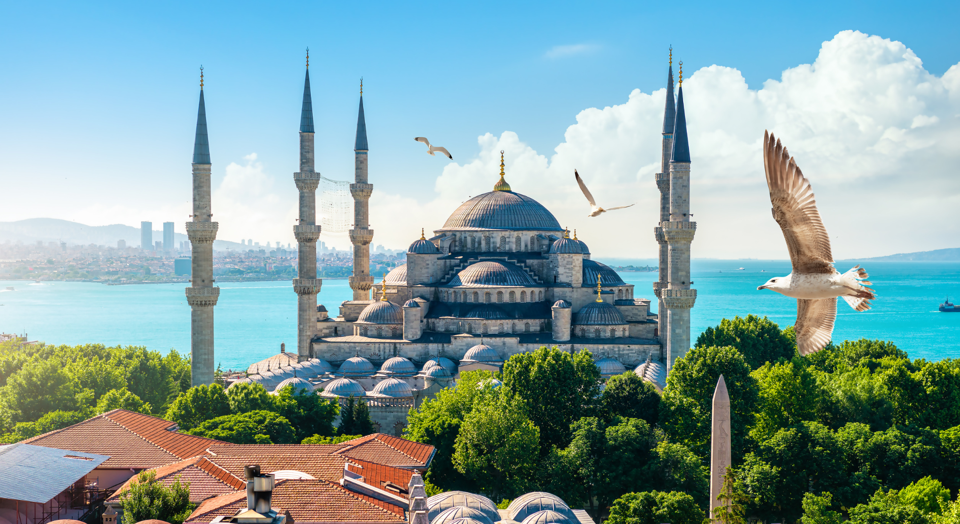 Turkey