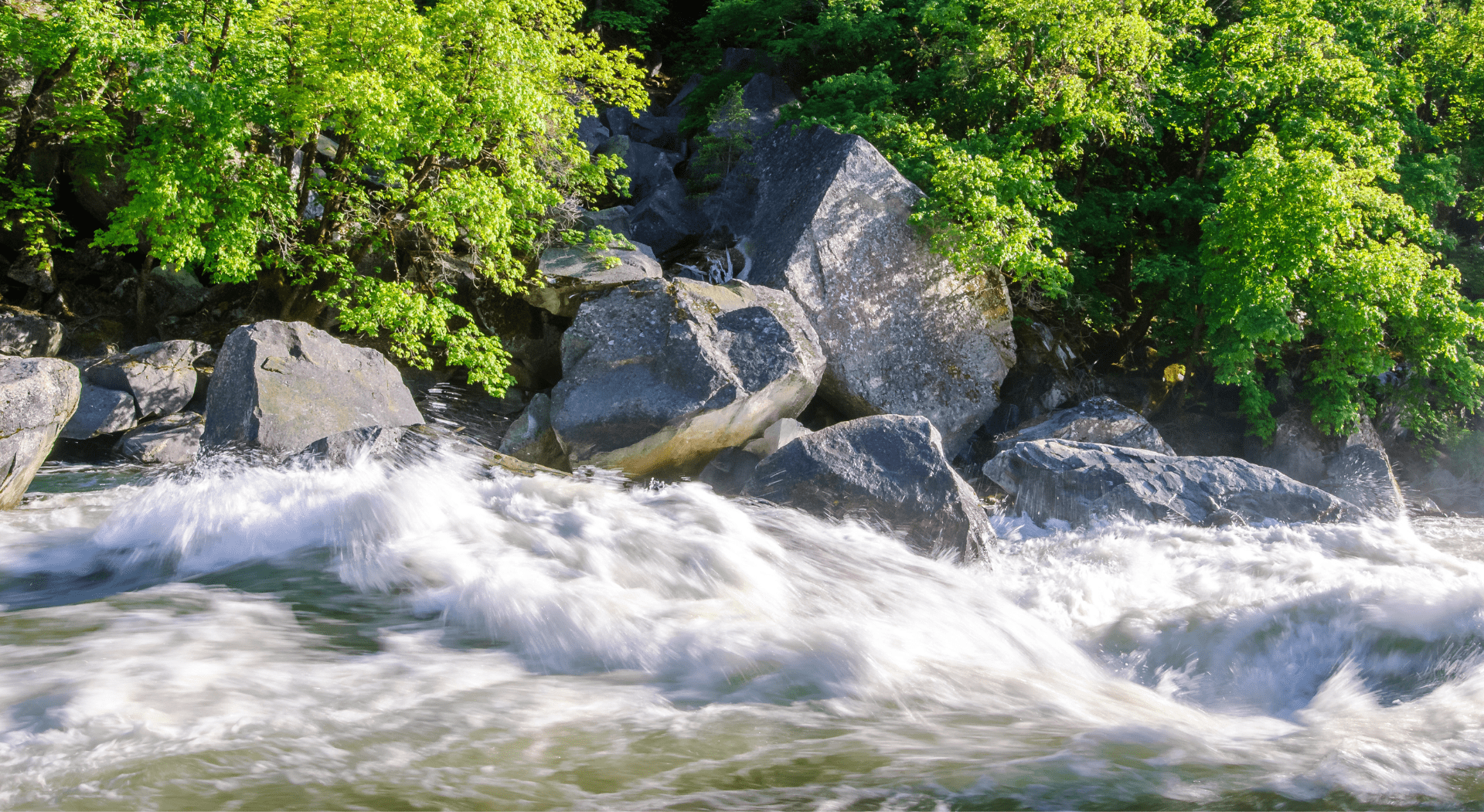 Gay Group Trip: Salmon River Rafting Adventure