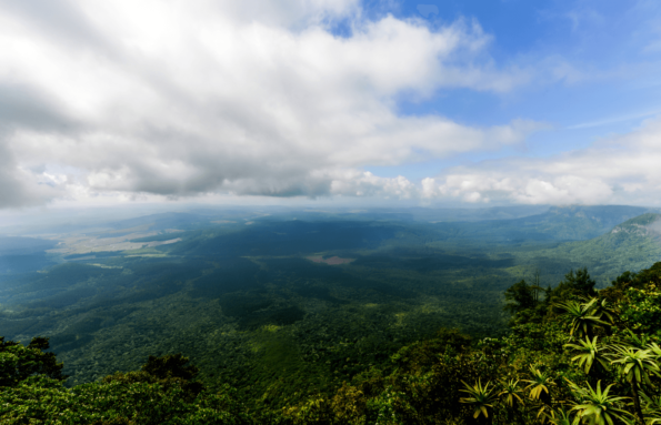 Day 1 to 3: Johannesburg and Mpumalanga