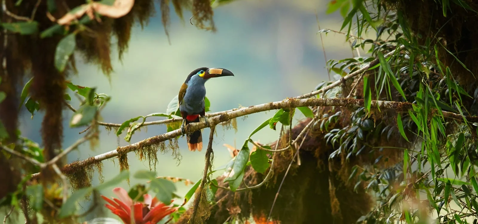 A Private Ecuador Escape: Quito & the Cloud Forest