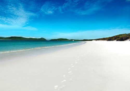 Hamilton Island Beach Club Hamilton Island Beach Club