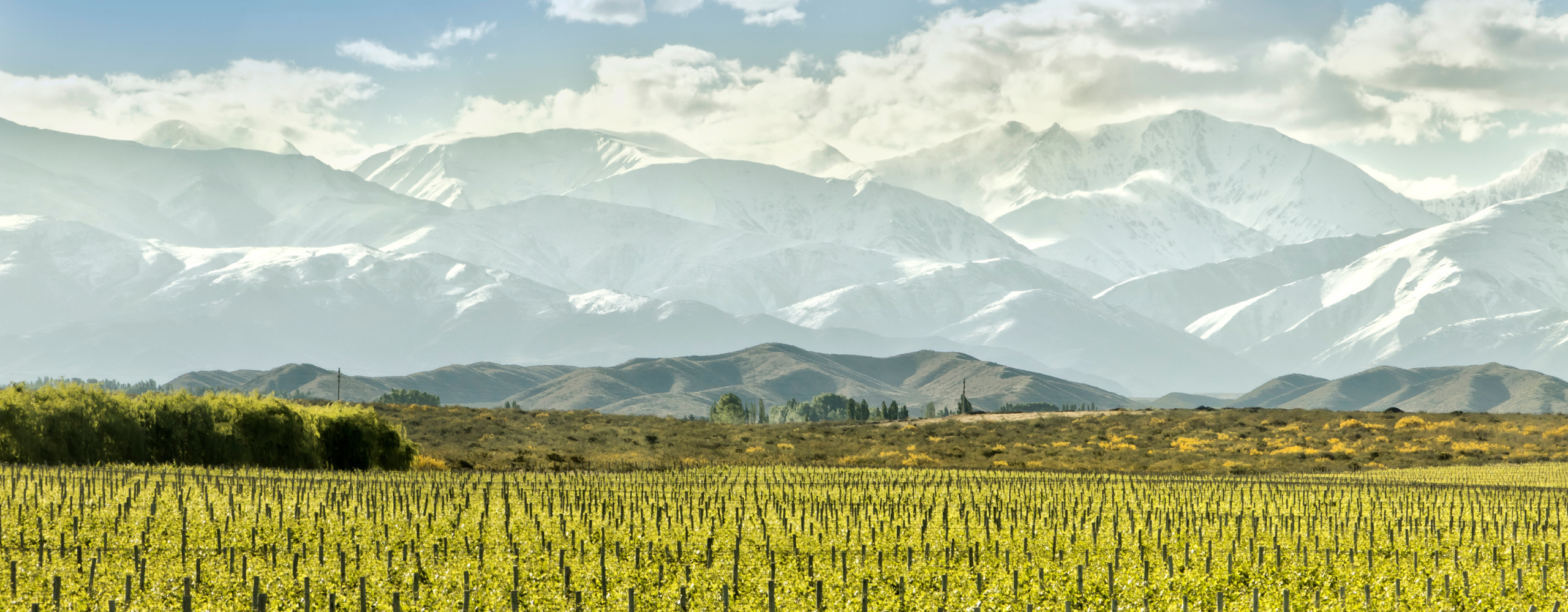 Mendoza Wine Country: Luxury Vineyard Tour