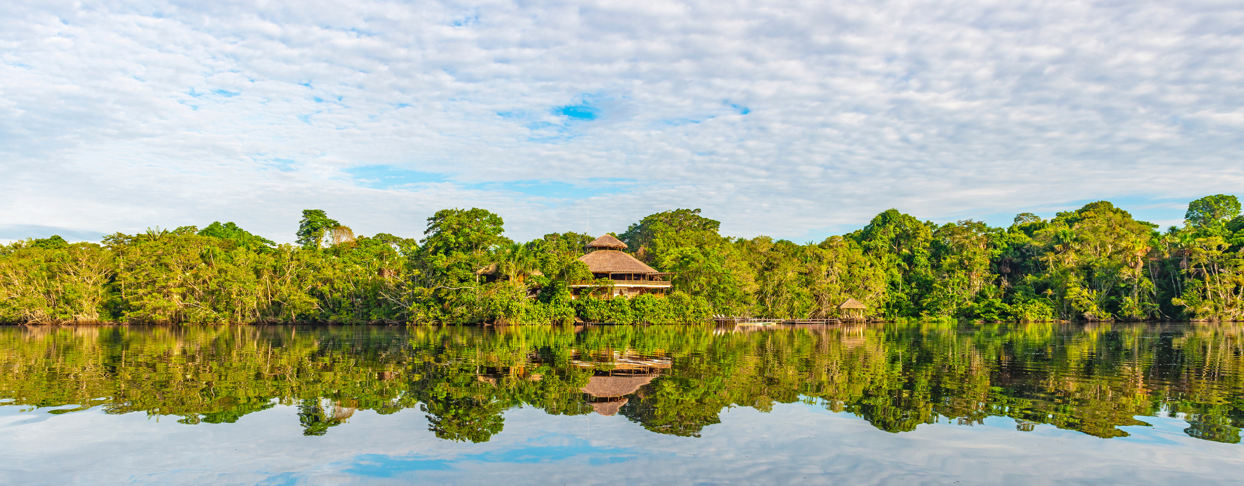 Brazil’s Eco-Luxury Lodges: Amazon & Pantanal – Amazon Cruise & Jungle Lodge Experience
