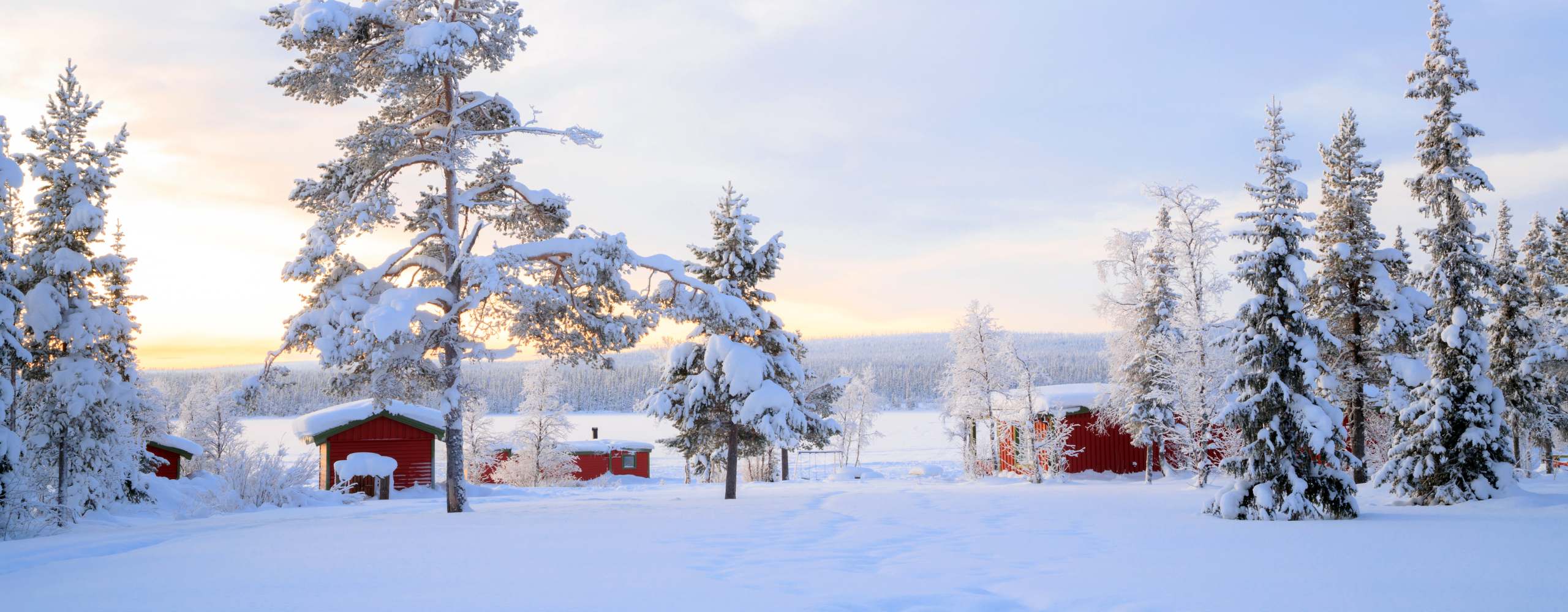 Sweden’s Arctic Luxury: Northern Lights & Ice Hotel Escape