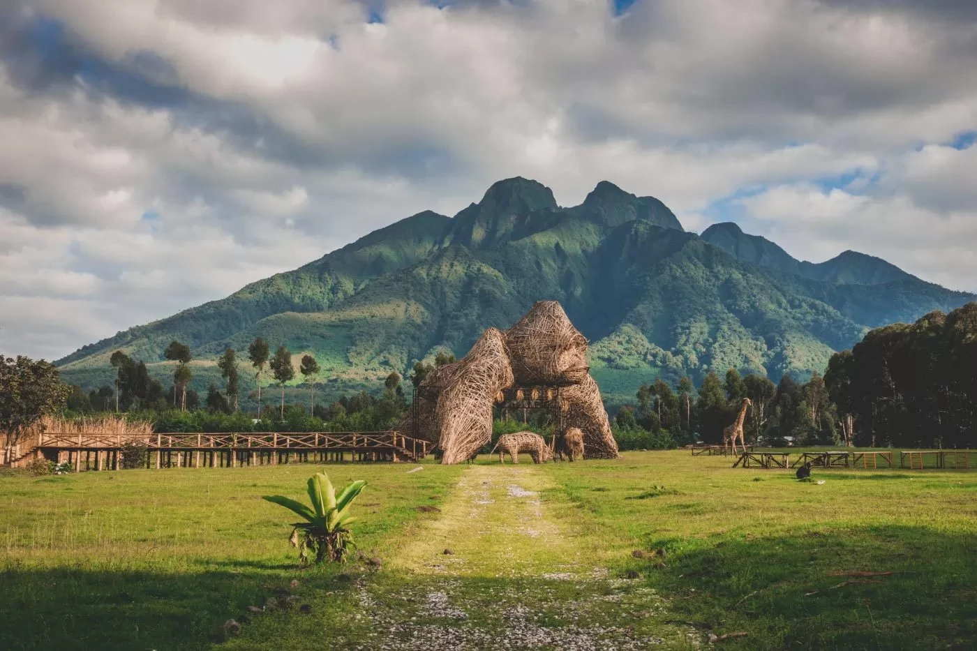 Departure Day: Volcanoes National Park to Kigali for International Flights