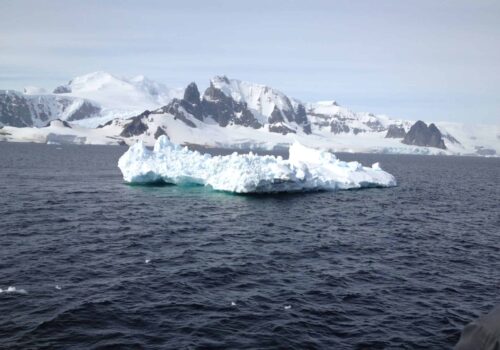 Antarctica gay group trip Antarctica gay group trip
