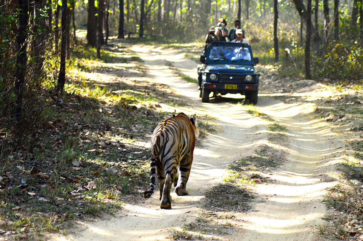 Days 3 to 5: Kanha National Park
