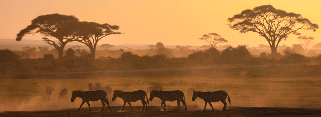 Gay Group Trip: Luxury Safari in Kenya