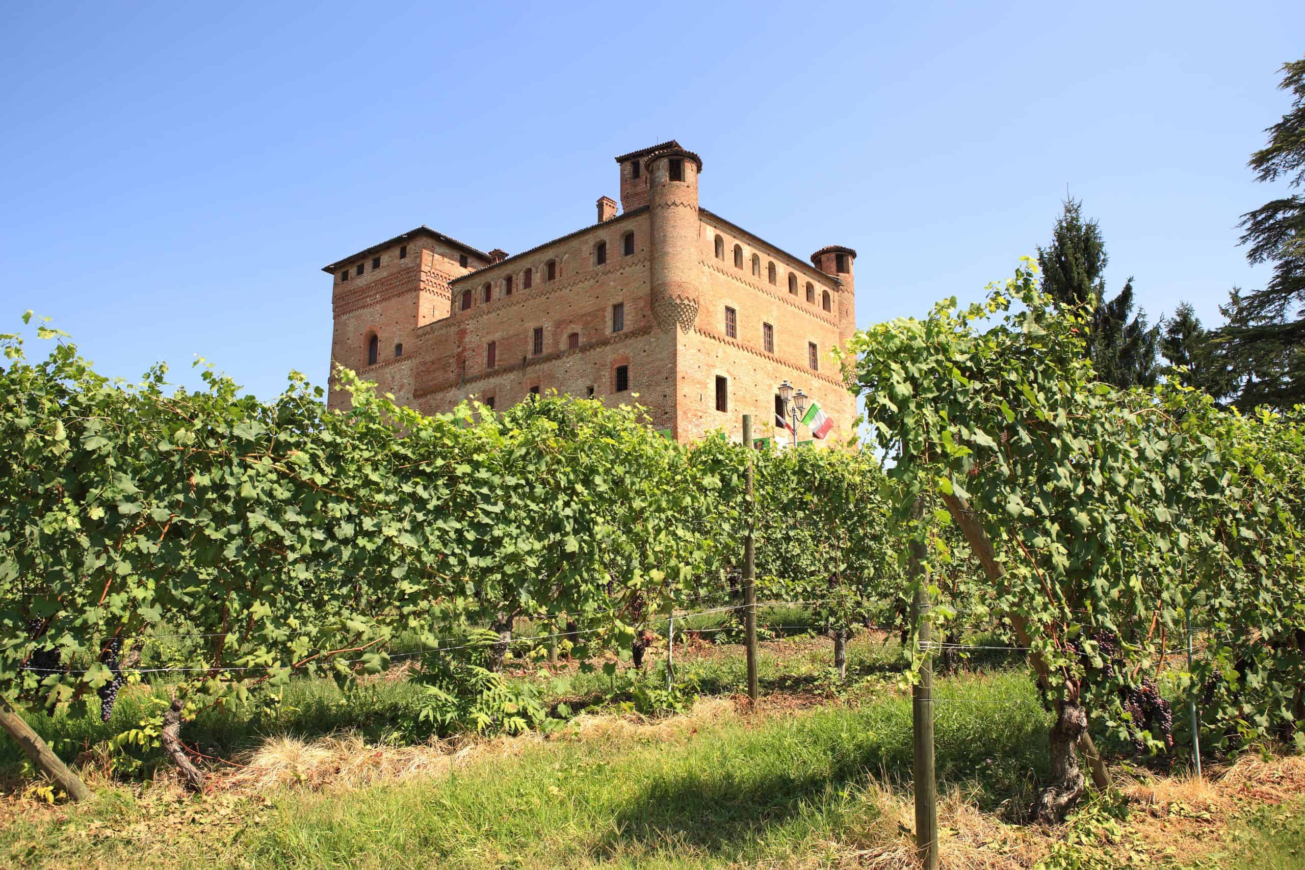 Wine Escape to Langhe, Barolo and Monferrato