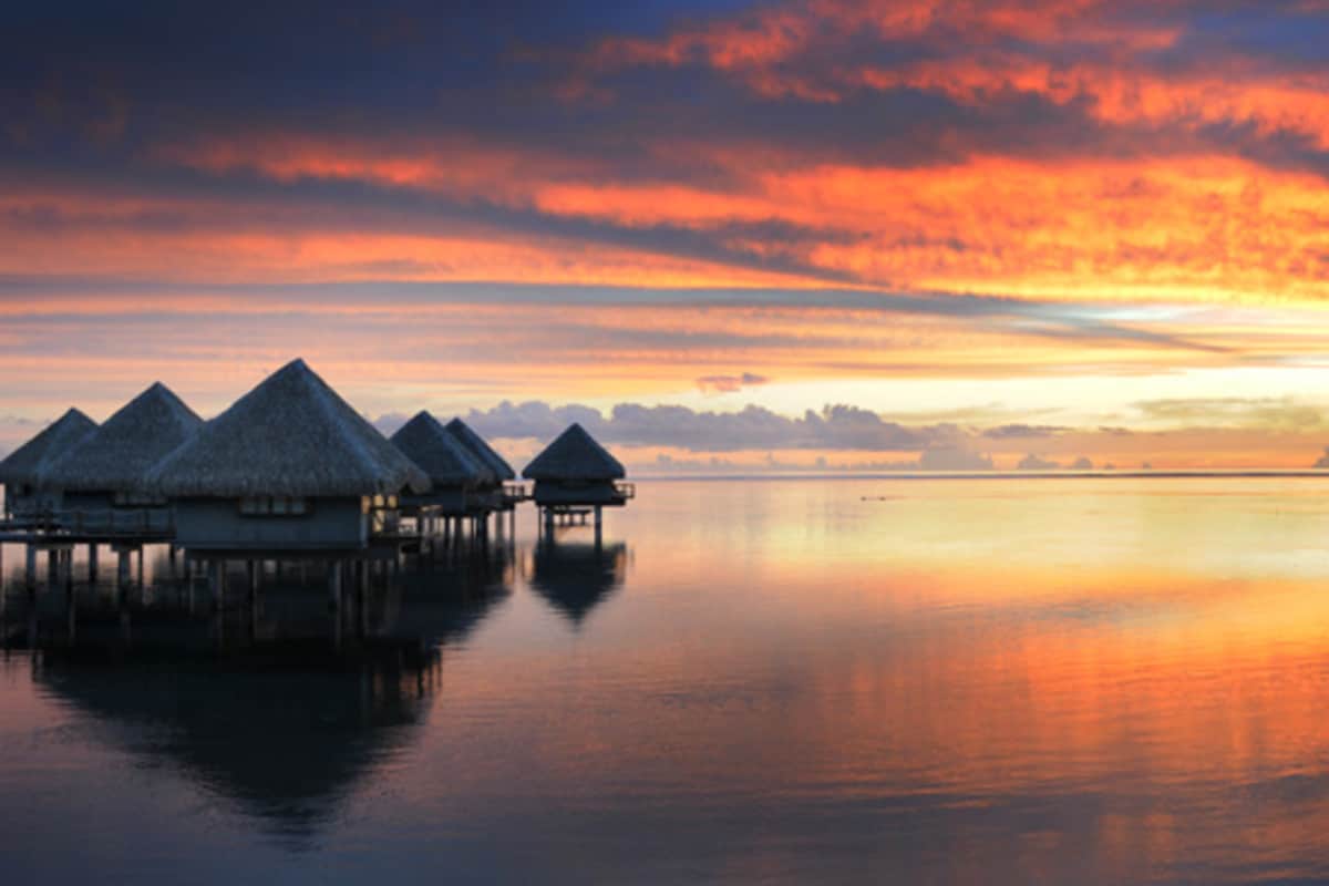 Mina recommends Bora bora french gay polynesia Nickole recommend Percents on gay marriage