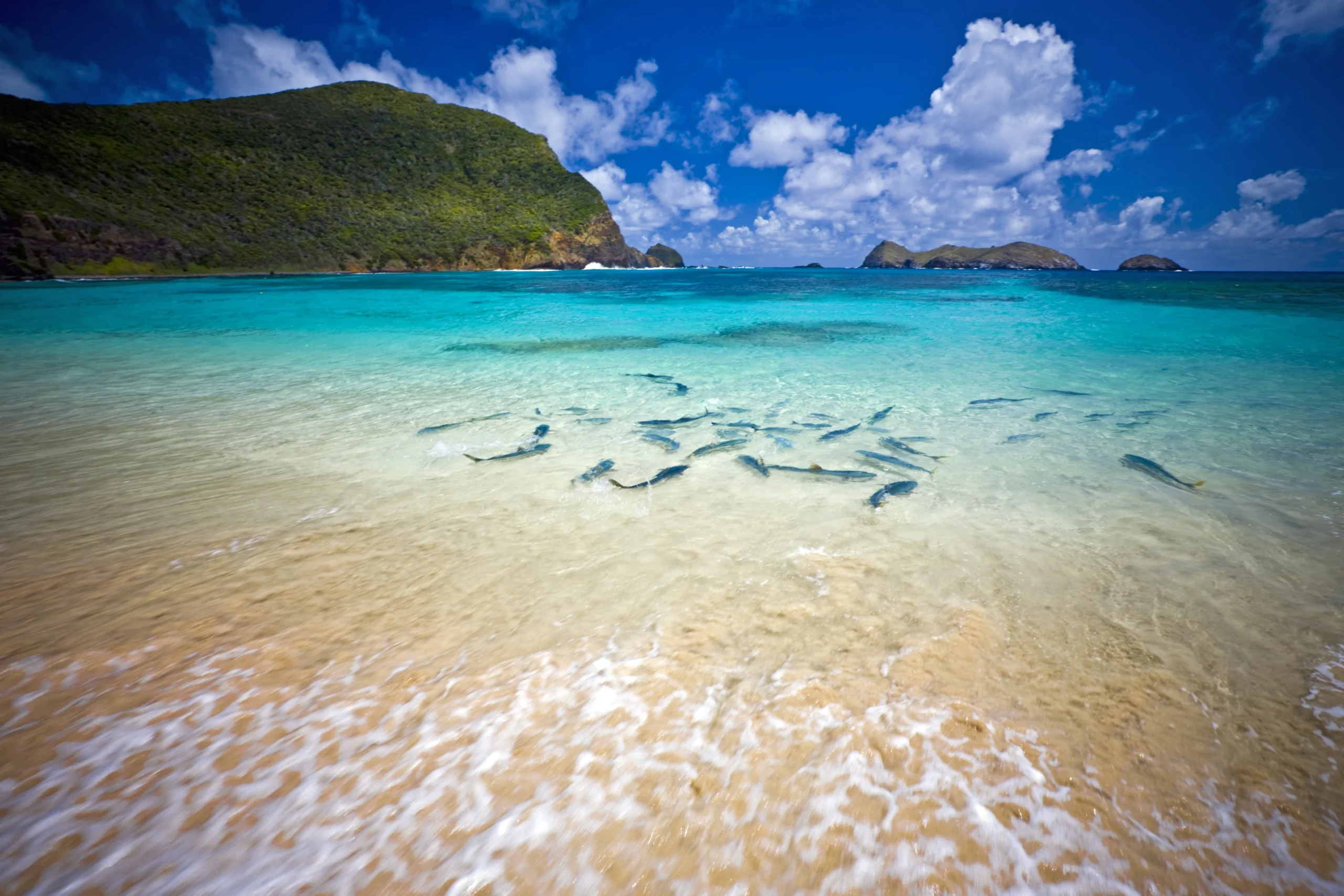 Lord Howe Island Retreats – New South Wales