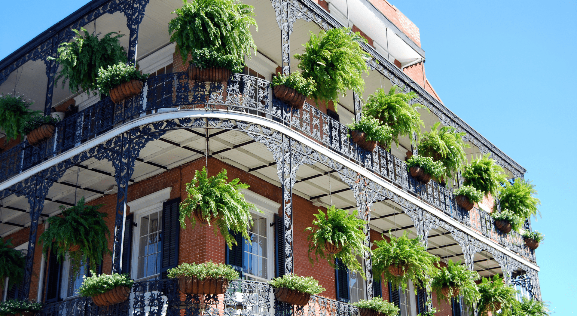 Mardi Gras 2025 Travel Packages All Inclusive Val Lauren
