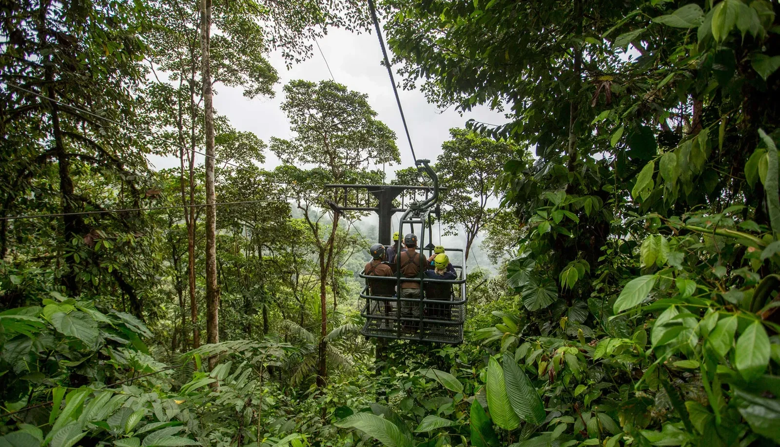 Day 4: The Cloud Forest