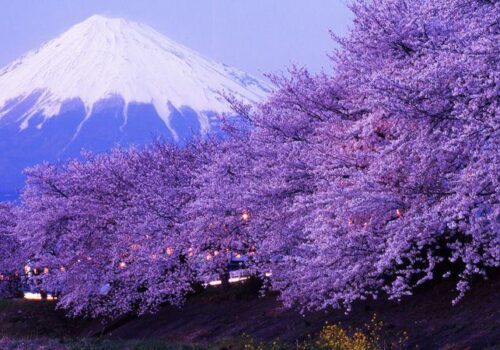 Highlights of Japan