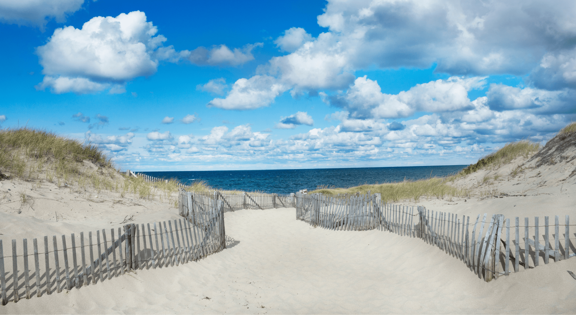 Gay Provincetown Travel Gay Bars, Hotels, Culture & History — LGBT tailormade travel