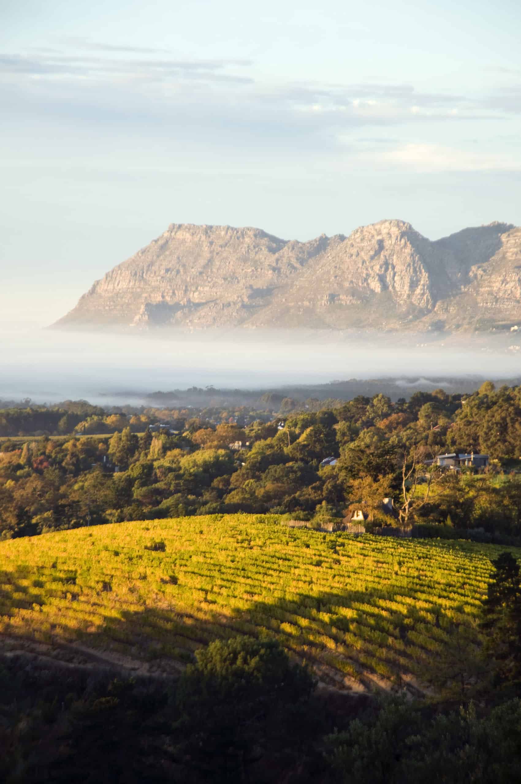 Boutique Cape Town and Wine Region