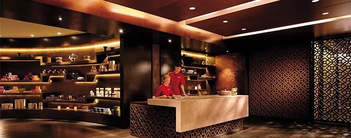 Spa/Wellness