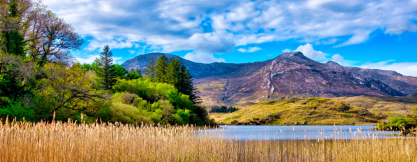 Wild Scotland and Ireland Explorer