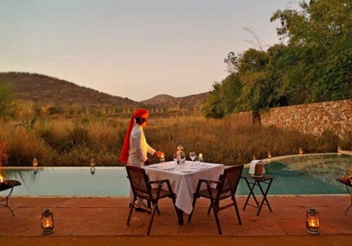 Delhi, Jaipur, The Taj Mahal and Wildlife Safari