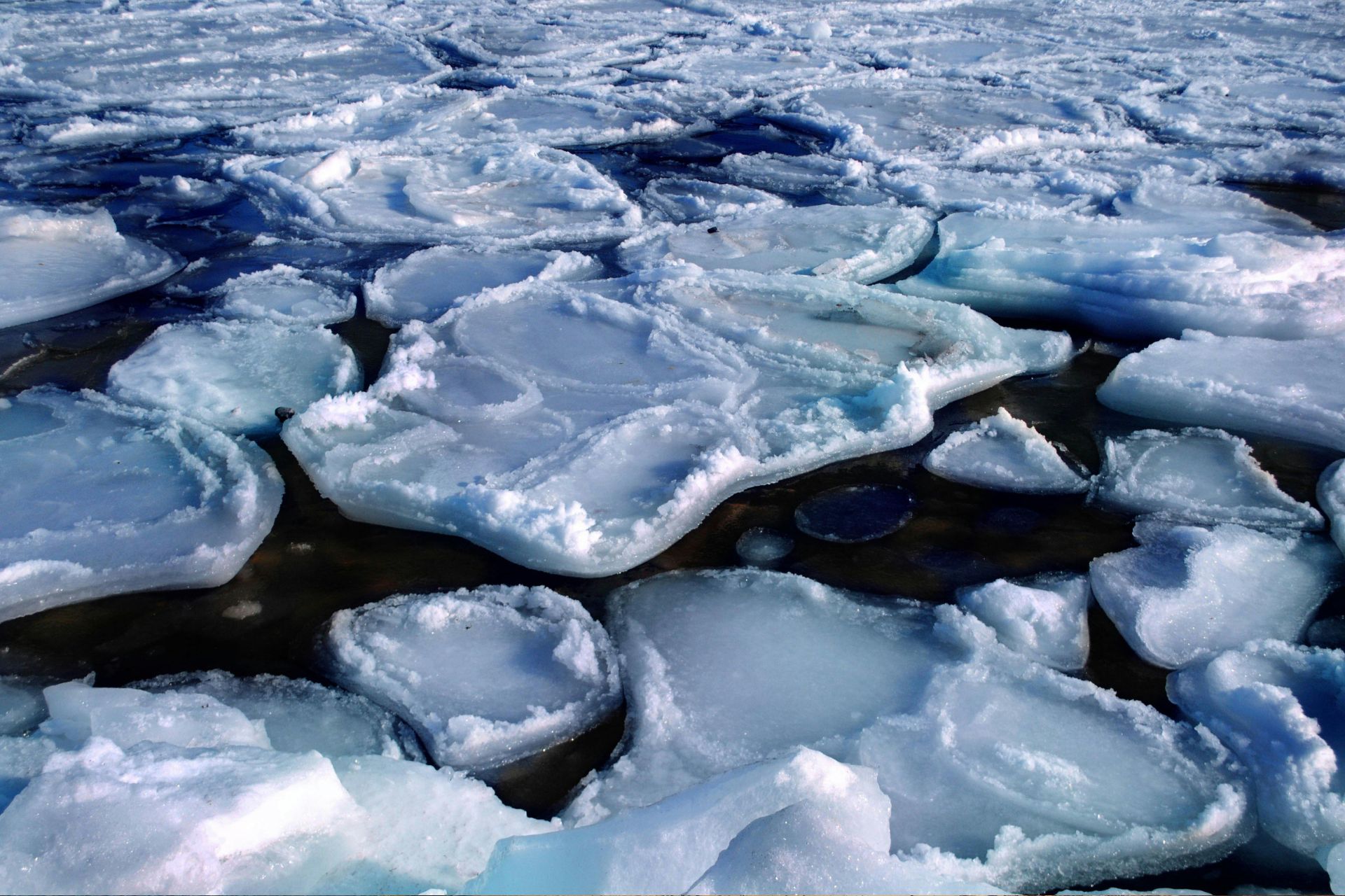 Antarctica Gay Expedition Cruise (World Navigator)