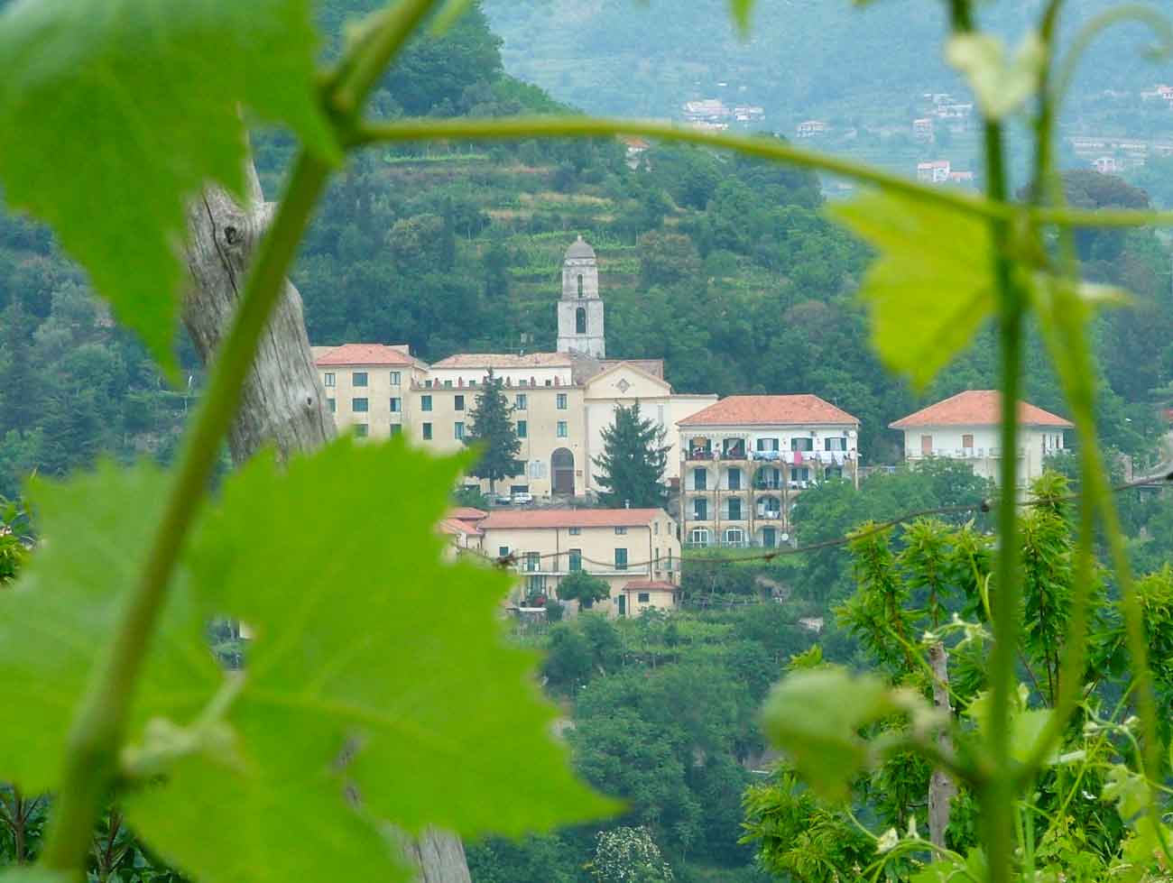 Tenuta San Francesco – Tramonti