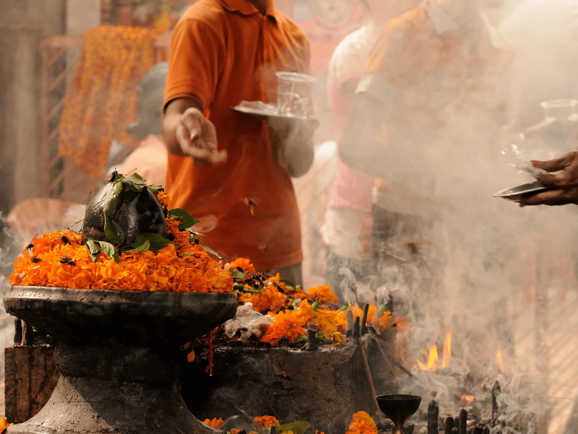 Gay Group Trip: India and the Holi Festival