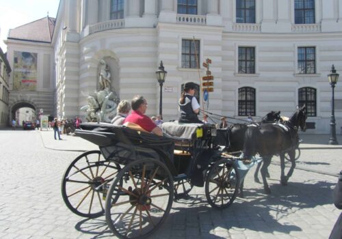 Vienna Vienna