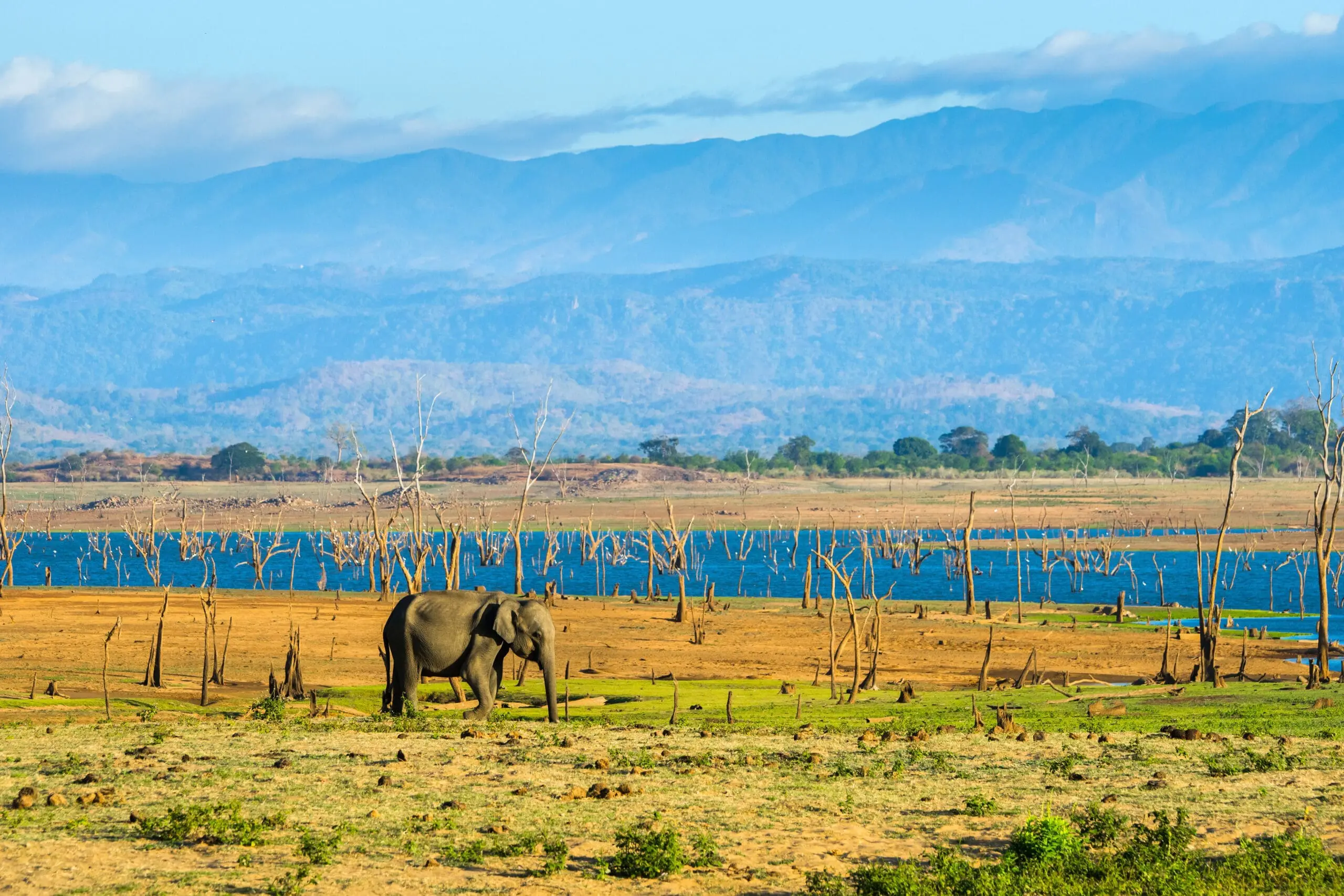 Day 6: Yala National Park